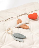 Meri legemadras, Songbirds