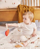 Nora legetøj, Songbirds