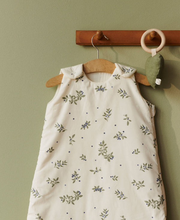 Wind sovepose, Blueberries