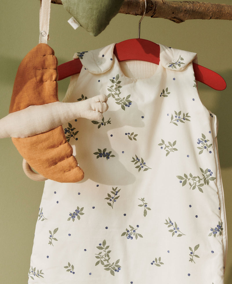 Wind sovepose, Blueberries