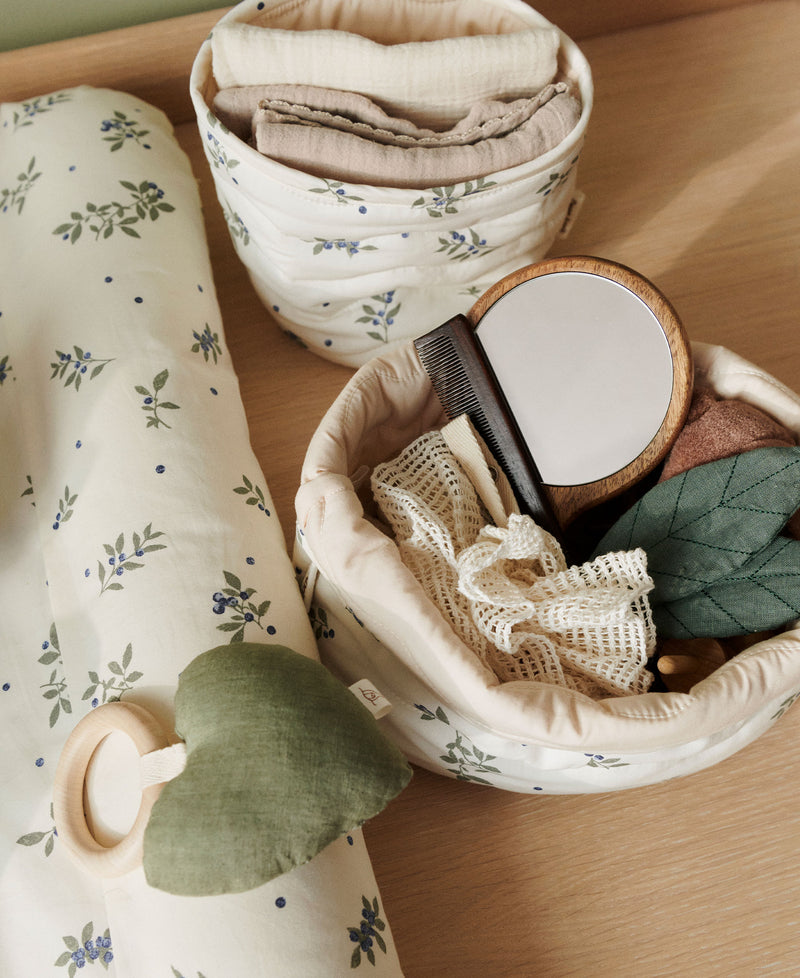 Kiki opbevaringskurve, Blueberries